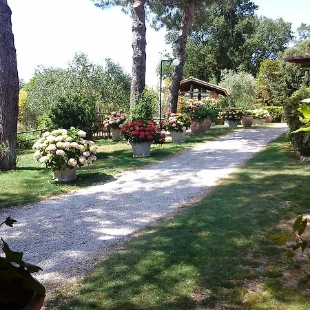 Menchetti *
