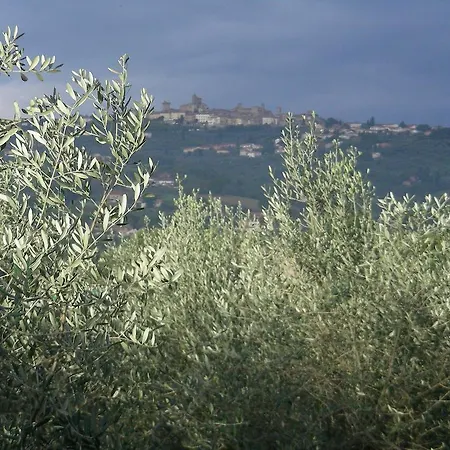Menchetti