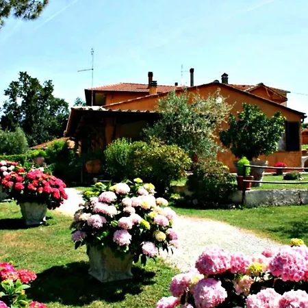 Menchetti *